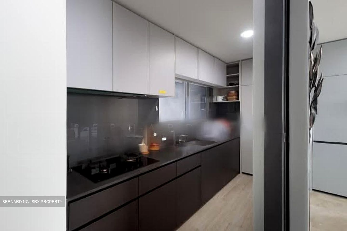 Amber Park (D15), Condominium #612254721